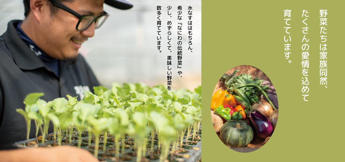 なにわの伝統野菜