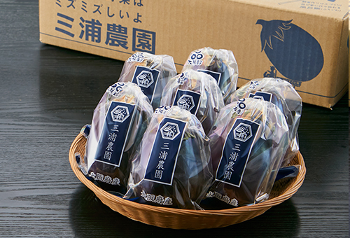 朝採り極上生水なす